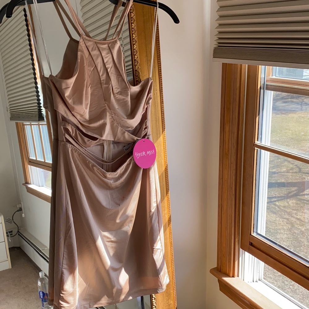 Tiger Mist mini dress